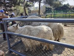 -长白岛森林公园