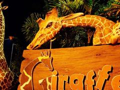 -清迈夜间动物园