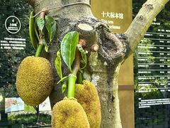 -云溪植物园