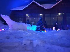 -世界之窗阿尔卑斯冰雪世界