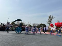 -荷兰花海