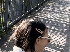 -金鸡山公园