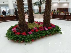 -南京财经大学（仙林校区）-图书馆