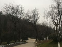 -伯先公园
