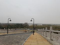-宁波杭州湾国家湿地公园