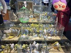 -青石桥花鸟鱼虫市场(叠翠城店)