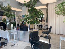 -Hair  Gallery