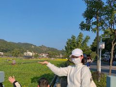 -红山村