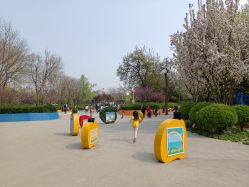 -酷酷兔少儿拓展天地