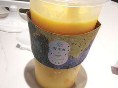 -野萃山·潮汕厚果汁(十亩地店)