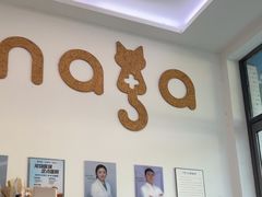 -纳吉亚猫专科动物医院·北北分院