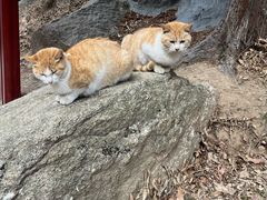 -崂山九水游览区