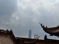 -钦赐仰殿道观