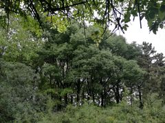 景点-范蠡湖公园