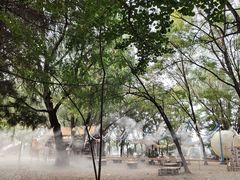 -长白岛森林公园