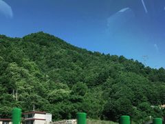 -牛背梁国家森林公园