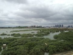 -北海金海湾红树林生态旅游区