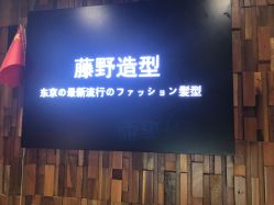 点击看大图 -藤野造型