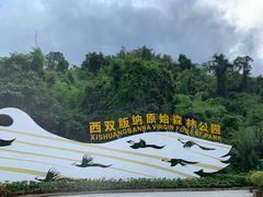 -西双版纳原始森林公园