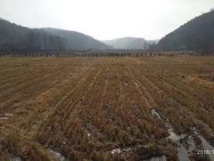 -南泥湾风景区