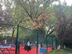 -西安市长乐公园