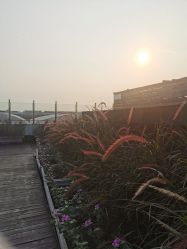 -小蜜蜂农场(凯德七宝购物广场店)
