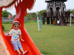 -上海长兴岛郊野公园