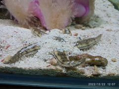 -太平洋海底世界