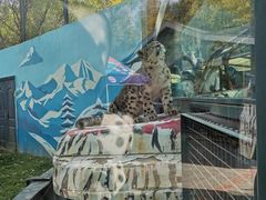 -青藏高原野生动物园