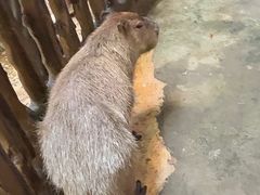 -南昌融创海世界