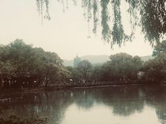 -西湖外事游船(湖滨二公园外事游船码头)