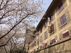 -武汉大学-樱园