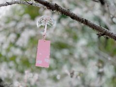 -高东镇樱花园