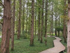 -国家植物园南园