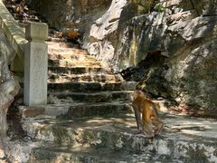 -白帝城·瞿塘峡景区