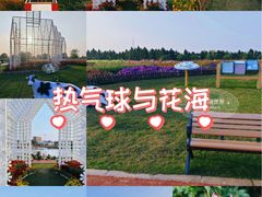 -荷兰花海