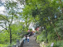 -九华山风景区