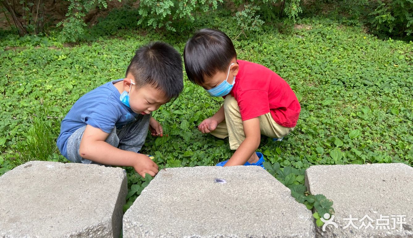 园子里禁止投喂 总有执勤人员盯着乱投喂