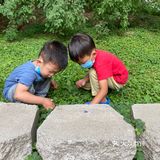 园子里禁止投喂 总有执勤人员盯着乱投喂