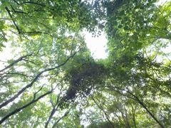 -紫金山山顶公园