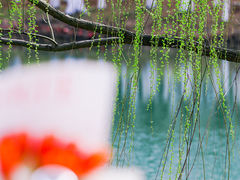 -阳澄湖费尔蒙酒店