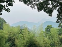 -莫干山风景区