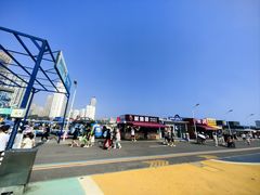 -大连圣亚海洋世界