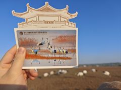 -盐城丹顶鹤湿地生态旅游区