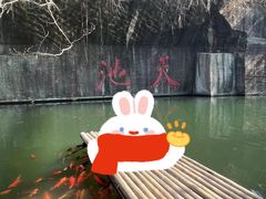 -千岛湖东南湖区
