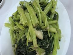 -新陶陶酒家