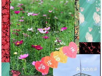 夏季溜娃去了，去亲近自然，呼吸新鲜空气