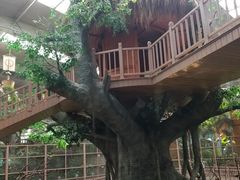 -南宫五洲植物乐园