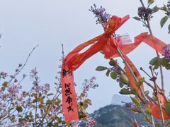 -泰山风景名胜区