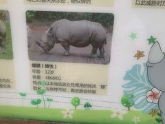 -普洱太阳河森林公园
